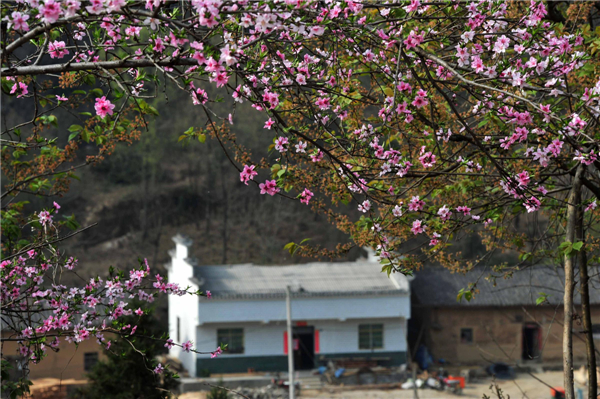 Exploring China’s spring destinations