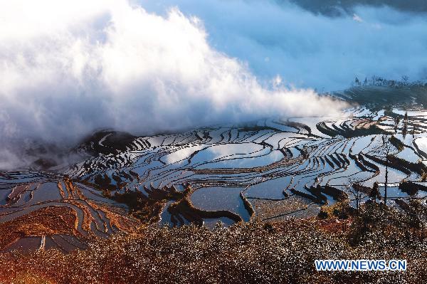 Terrace fields in Yuanyang, China's Yunnan