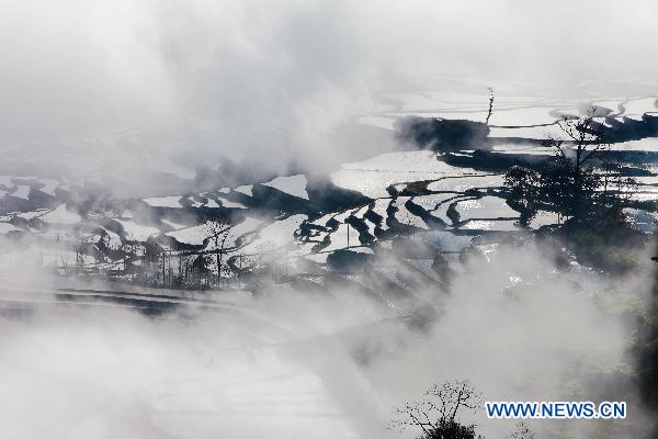 Terrace fields in Yuanyang, China's Yunnan