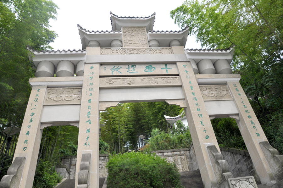 The bamboo sea in Chongqing