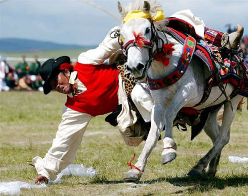 Horse-racing of Shoton Festival in Tibet