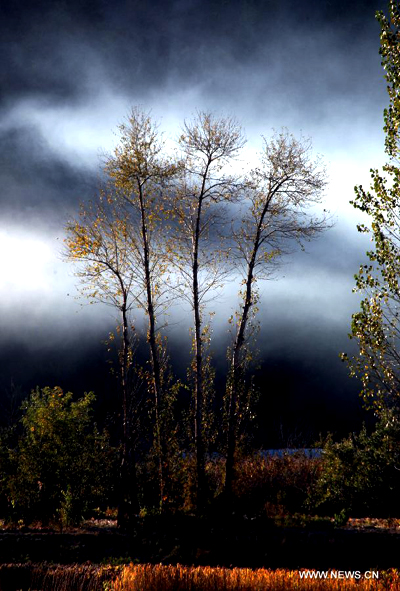 Picturesque autumn scenery in Beijing's Huairou