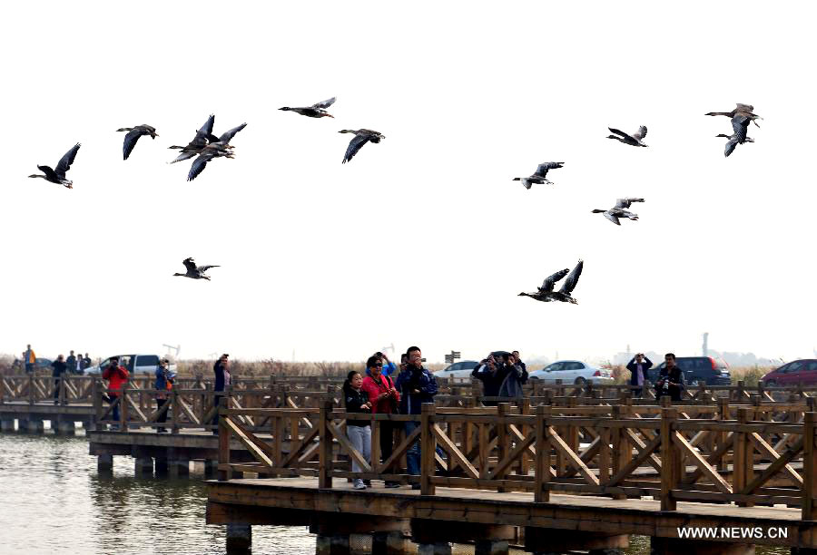 Yellow River estuary wetland natural reserve in E China