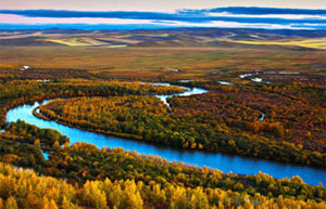 Yellow River estuary wetland natural reserve in E China