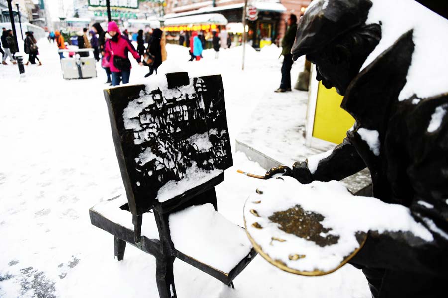 First snowfall brings seasonal charm to Harbin