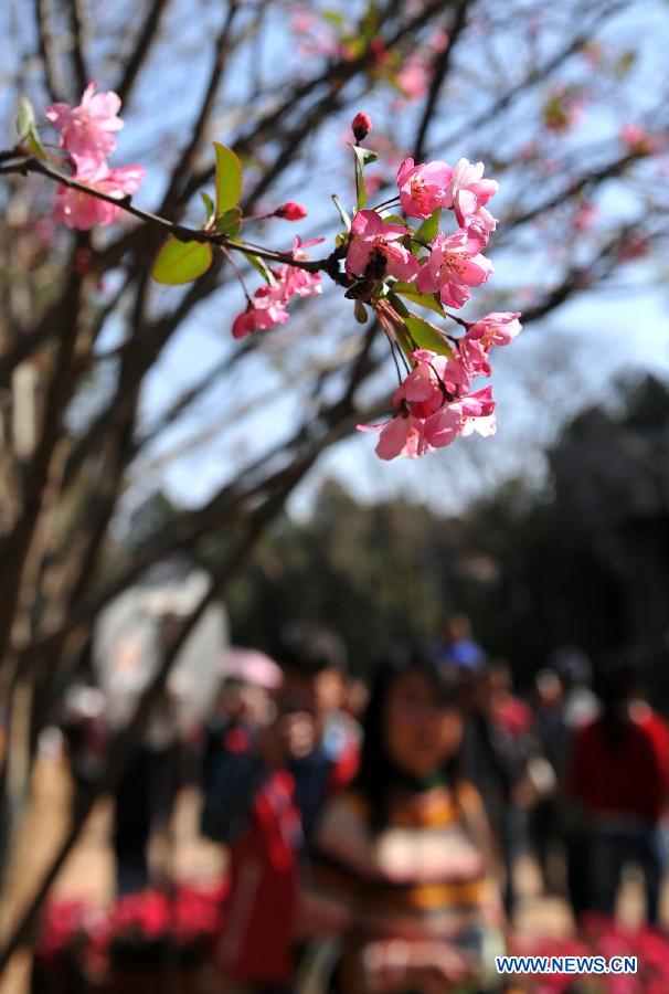 Kunming: spring is in the air