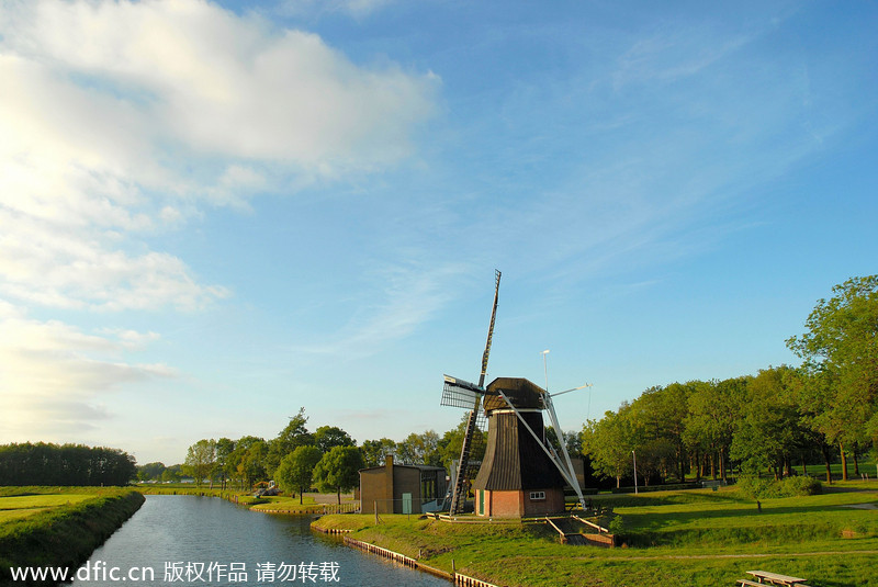 The Netherlands, a kingdom of tulips