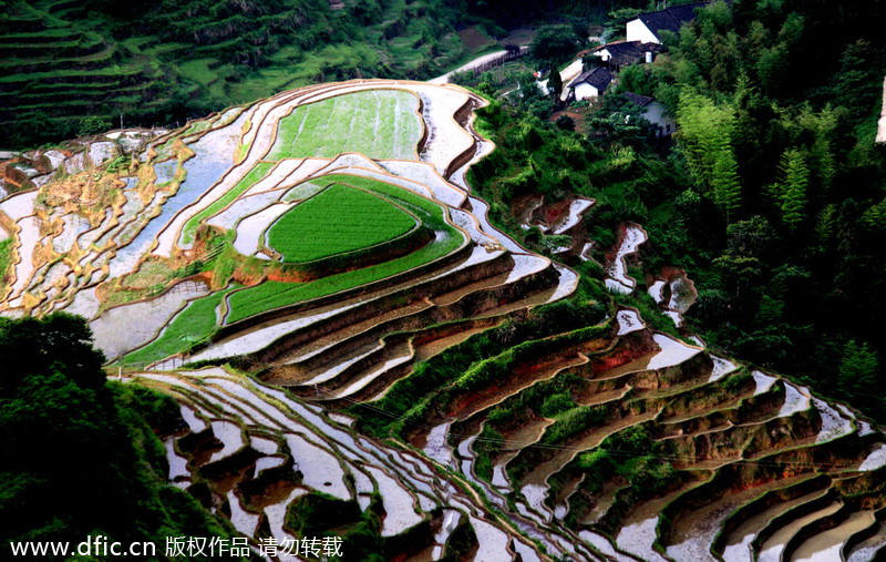 Top 10 most beautiful terraces in China