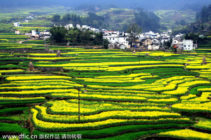 Top 10 most beautiful terraces in China