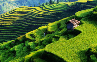 Flower terraces beckon romantic spirit