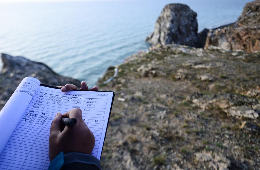 Qinghai Lake: Habitat for over 400,000 birds every year