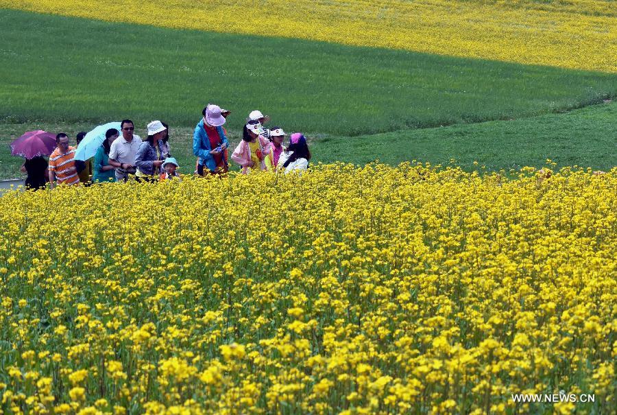 Qinghai embraces golden travel season