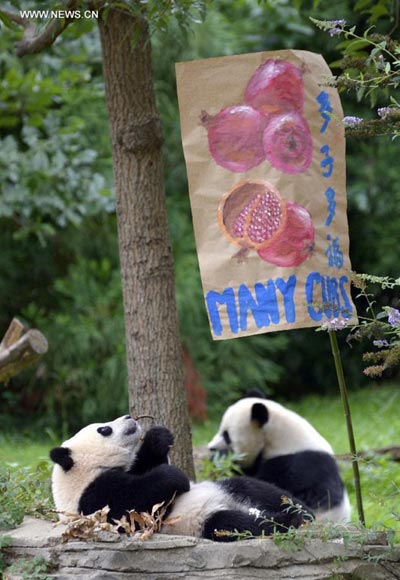 US zoo celebrates first birthday of panda Bao Bao