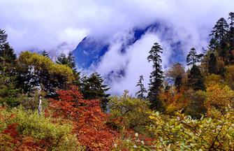 Scenery of tidal wetland in Tibet