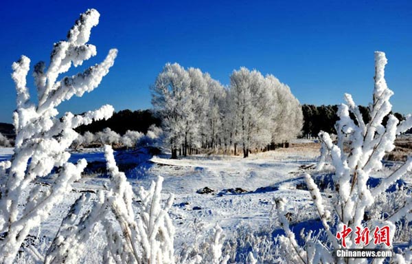 Beautiful rime in NE China's Great Khingan Mountains