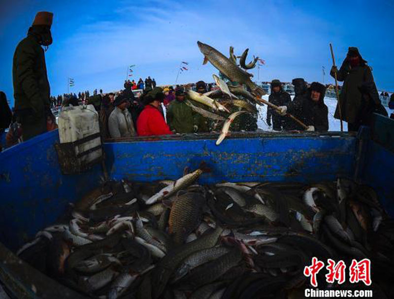 Winter fishing kicks off in Xinjiang