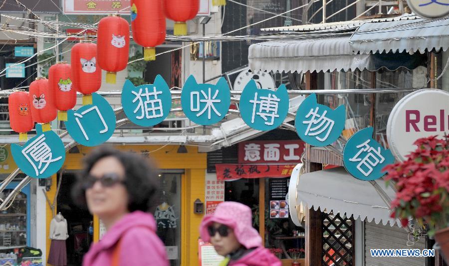 Ding'aozai: A cat-theme street in Xiamen