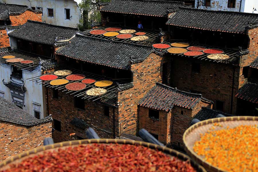 Harvested crops help present a unique autumn scene in Wuyuan ancient town