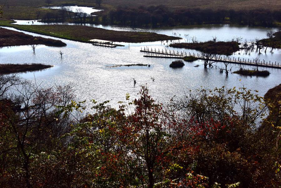 Autumn scenery in Shennongjia Dajiu Lake National Wetland Park