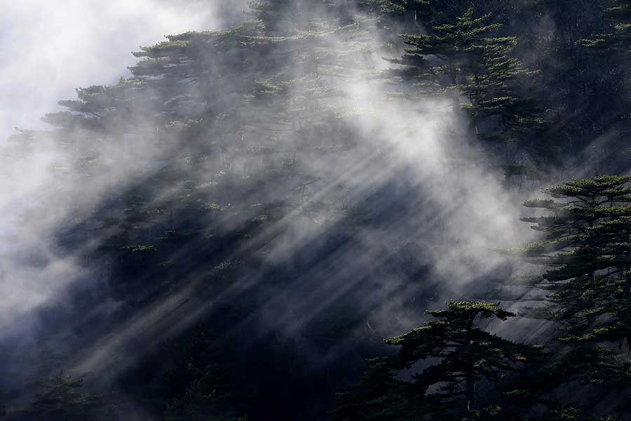 Huangshan's beauty in early winter