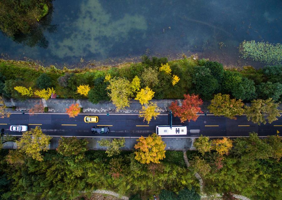 West Lake scenic area embraces a colorful winter scene