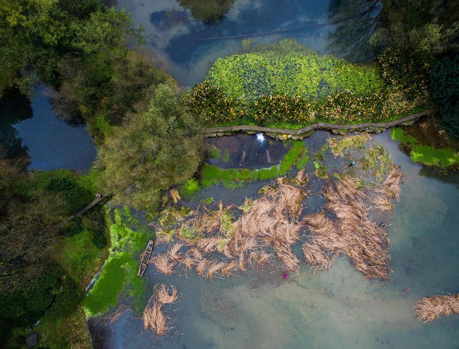 West Lake scenic area embraces a colorful winter scene