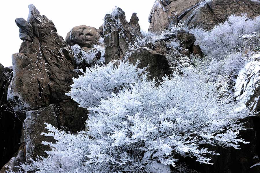 Rime scenery at Lingzhu Mountain in Qingdao