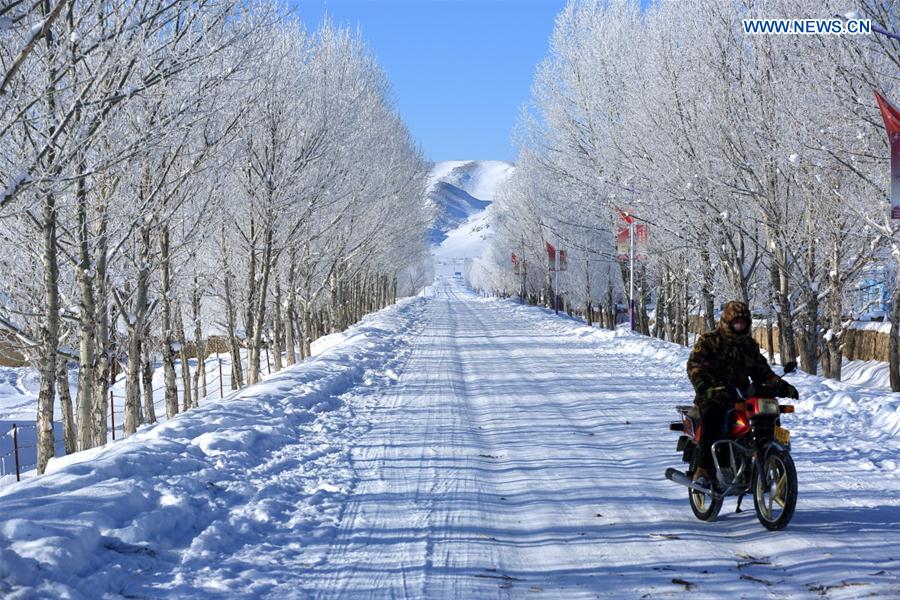 Gorgeous rime scenery in China's Xinjiang