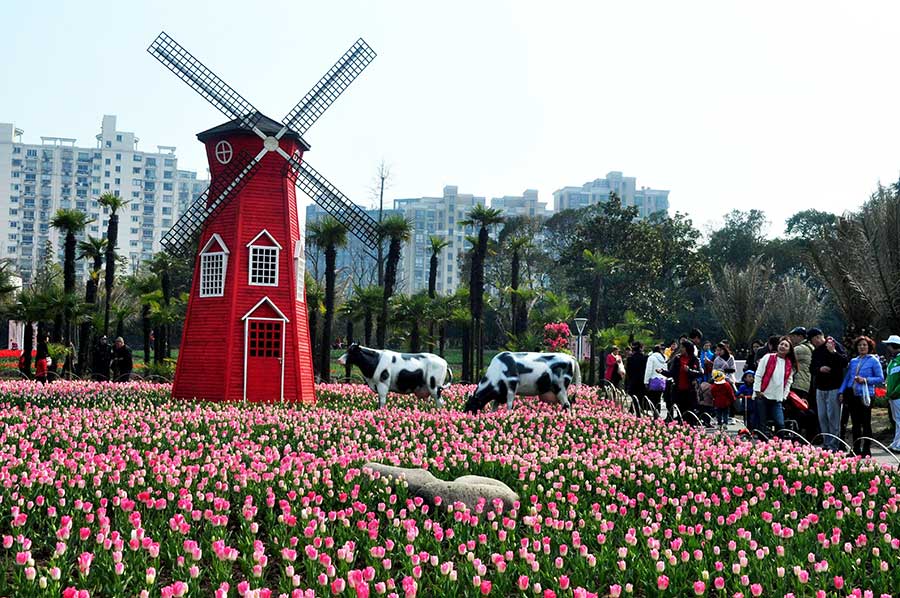 Shanghai tulip expo kicks off