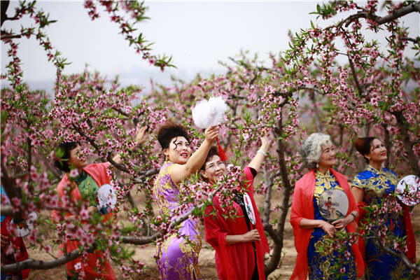 Shanxi tourism is springing into blossom