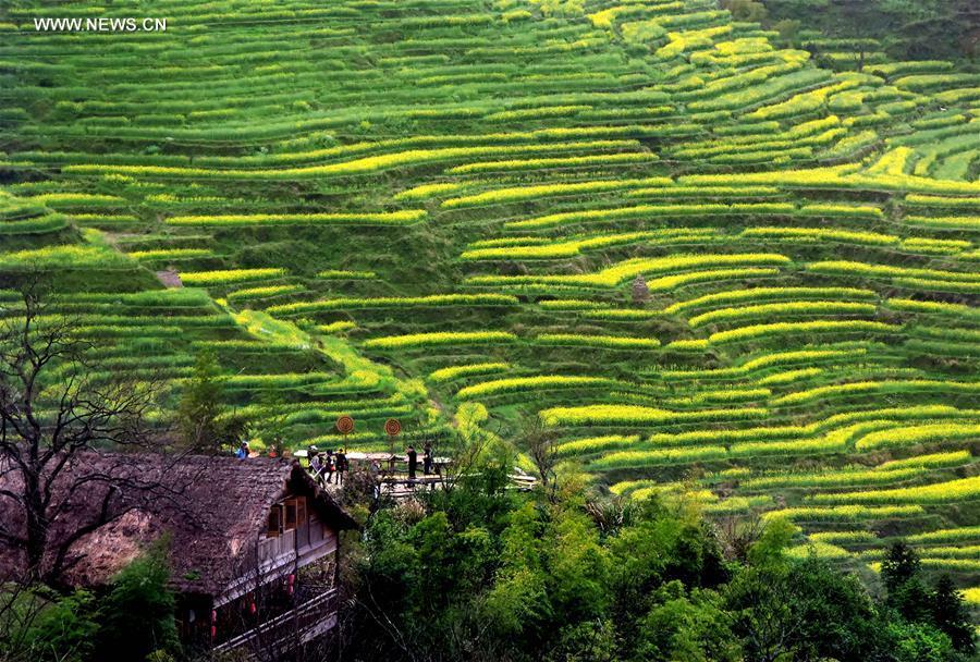 China perfects art of building terraced fields