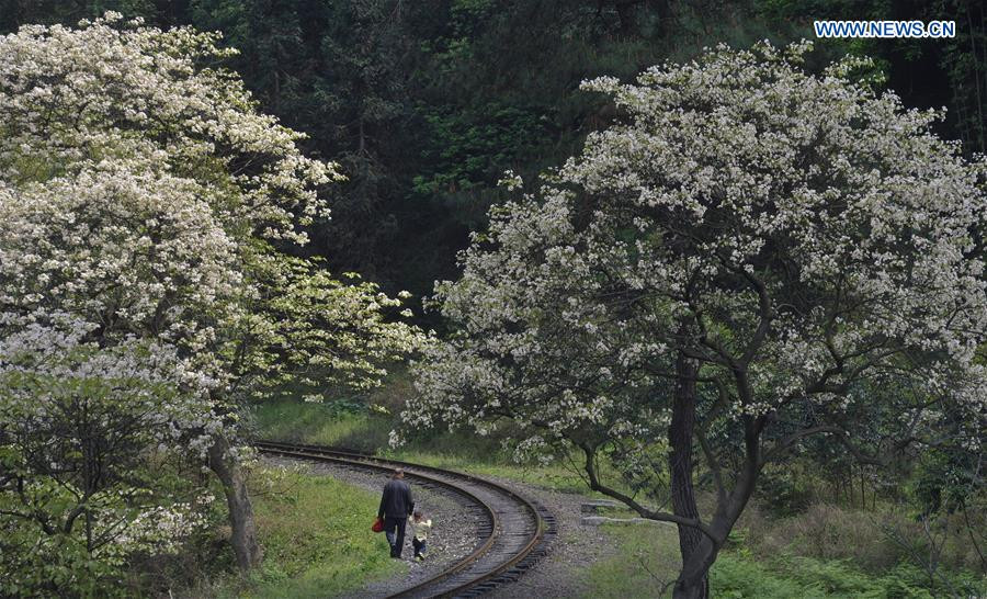 Steam train in Southwest China keeps operation, boosts tourism