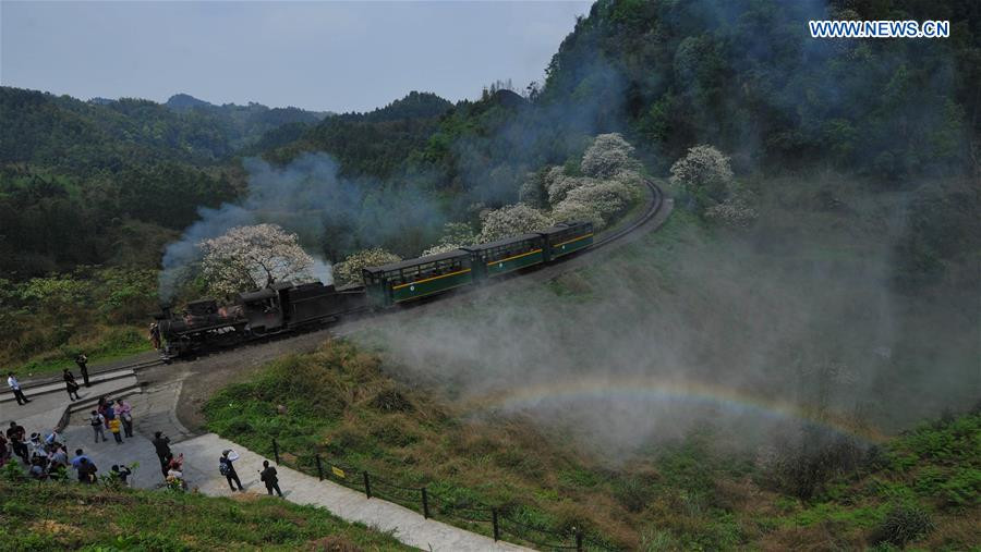 Steam train in Southwest China keeps operation, boosts tourism