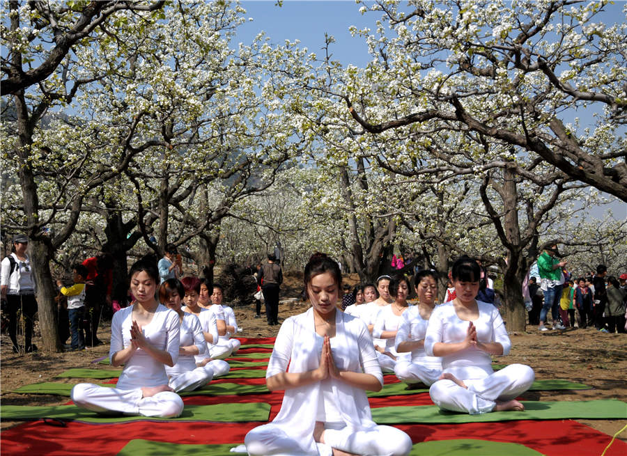 Pear bloom decorates Jixian county in Tianjin