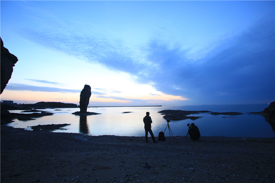 Sea turns fluorescent in Dalian, Northeast China