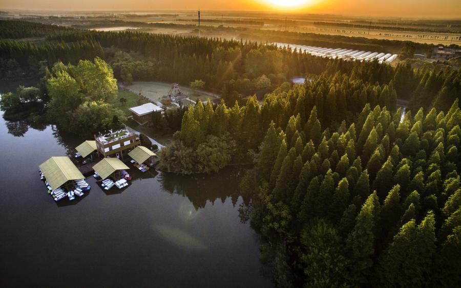 Scenery of Dongping National Forest Park in Shanghai