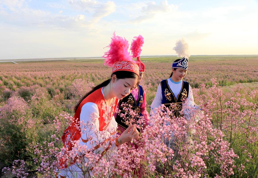 Flower industry turns Gobi wilderness into attractive landscape