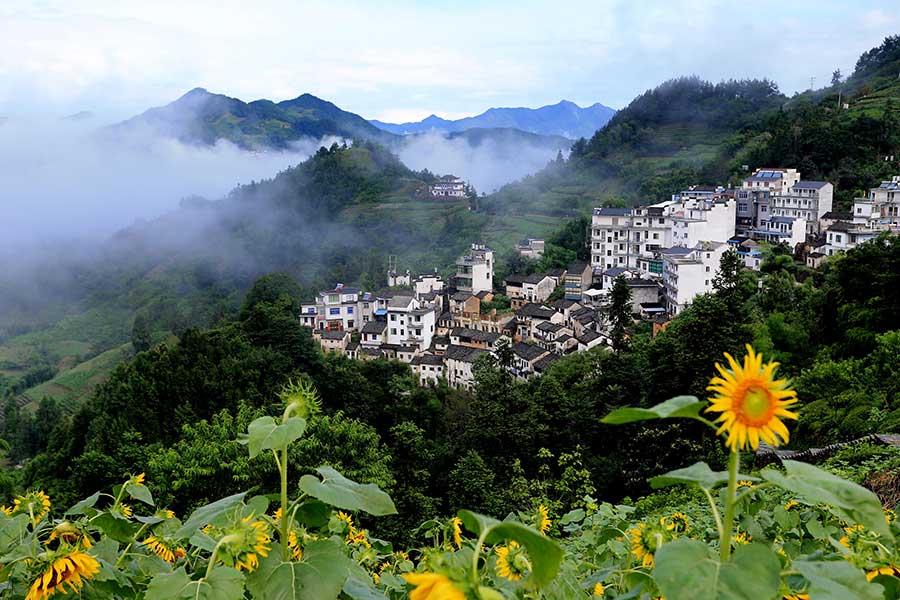 Beauty after the rain: Shitan scenic area on Mount Huangshan