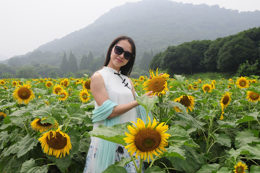 Painter, women and butterfly drawn to blooming sunflowers