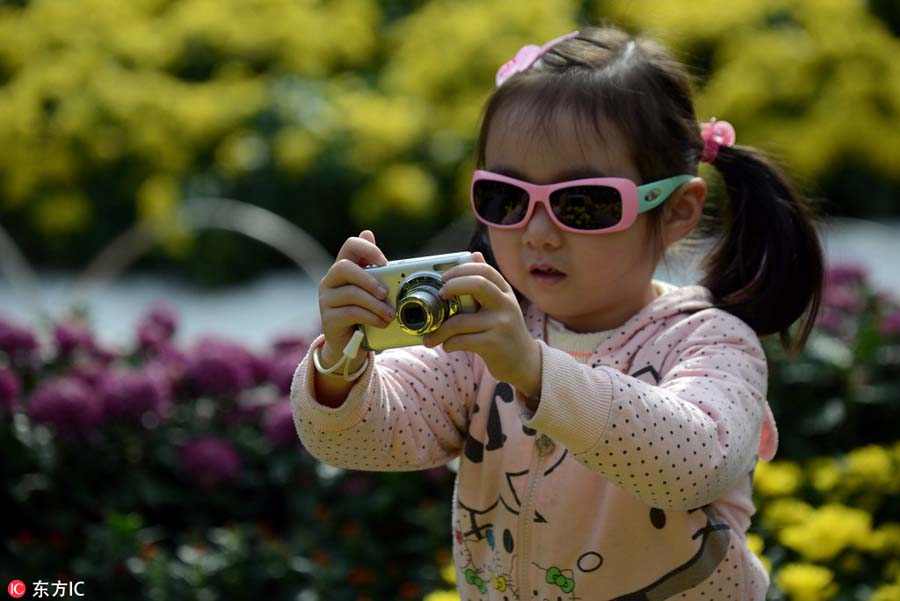 900 types of chrysanthemum on show in Shanghai