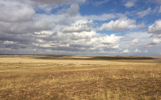 Inner Mongolia: To tour or not to tour