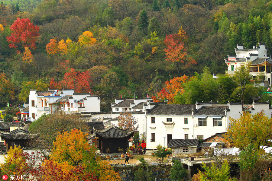 Tachuan a top destination for autumn photography