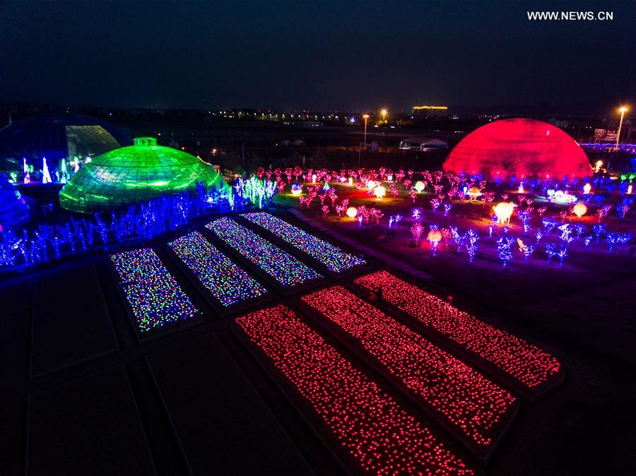 Thousands of rose-shaped lights light up county