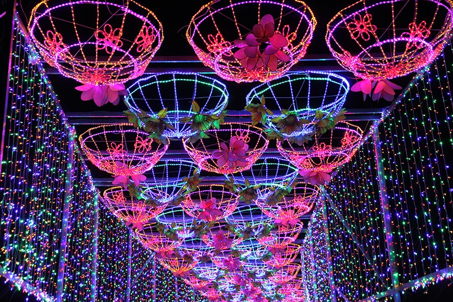 Lanterns light up Beijing rose park for Spring Festival