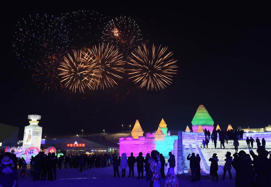 Harbin Ice and Snow World opened to public in NE China