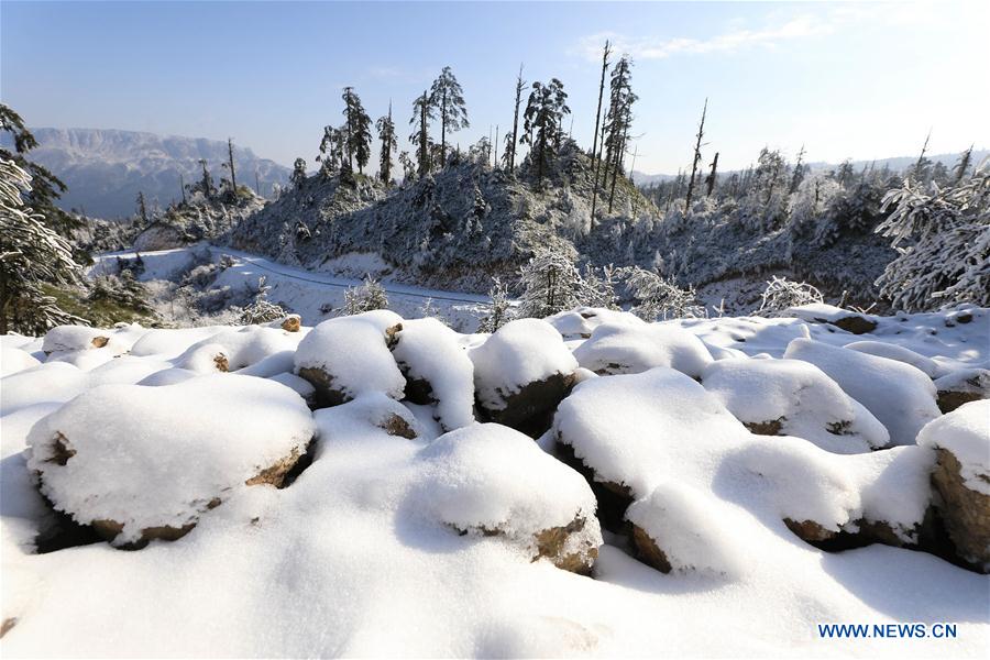 Snow-covered Longcanggou National Forest Park