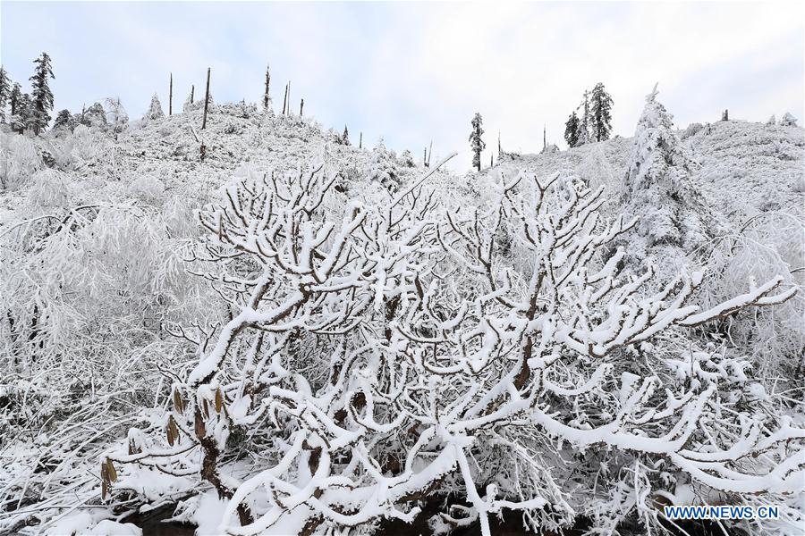 Snow-covered Longcanggou National Forest Park