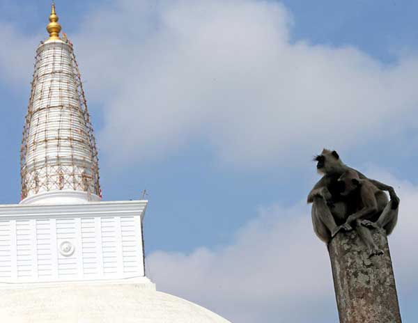 Sri Lanka wins 'Most Popular Tourism Destination Award' in Guangzhou Fair