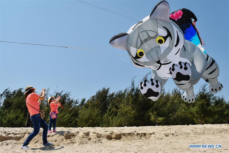 Thailand International Kite Festival 2017 kicks off