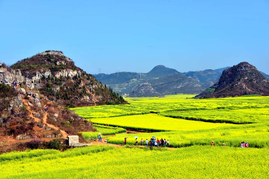 10 places to enjoy canola flowers in China